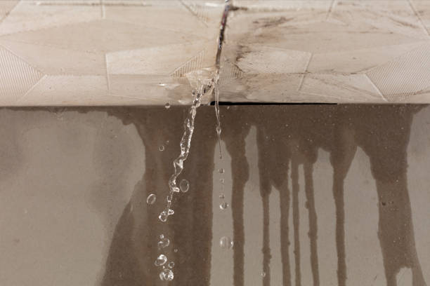 Professional Structural Drying technician working in Austerlitz, NY